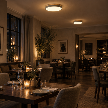 Round Disc Flush Mount Ceiling Light