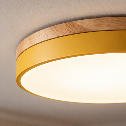 Round Disc Flush Mount Ceiling Light