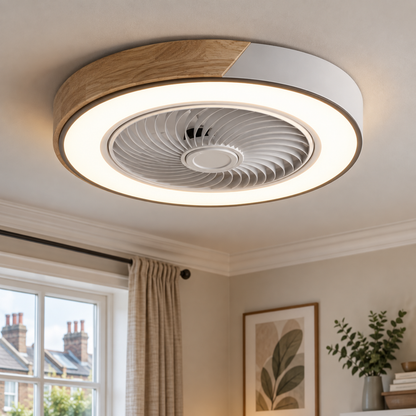 Quiet Ceiling Fan with LED Light