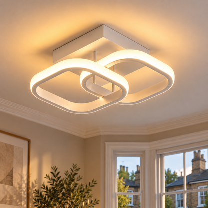 Modern LED Ceiling Light