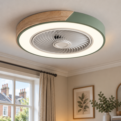 Quiet Ceiling Fan with LED Light