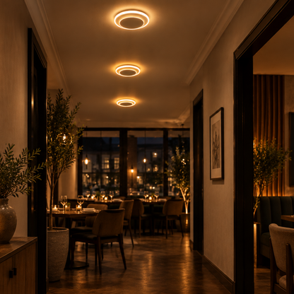 Modern Tulio LED Ceiling Light