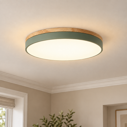 Round Disc Flush Mount Ceiling Light